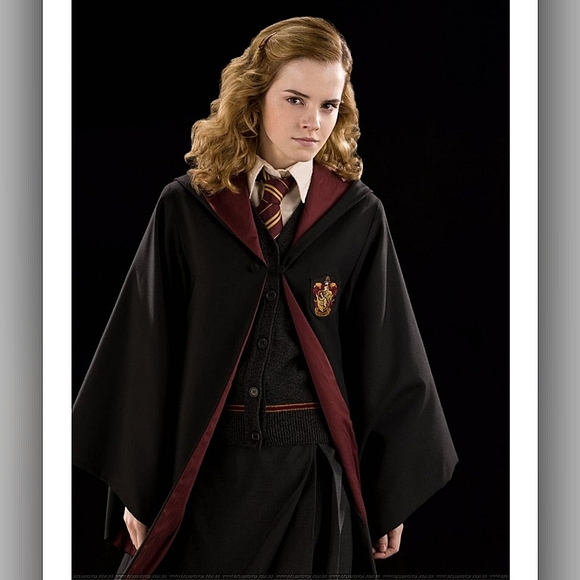 Harry Potter Hogwarts Crest Hallmark Christmas Tree Ornament - Picture 6 of 14